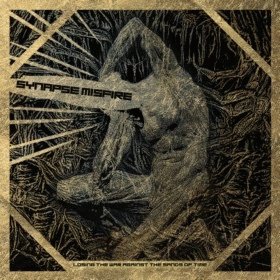 Synapse Misfire : Losing the War Against the Sands of Time